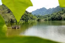 Cuc Phuong honrado por cuarta vez como el parque nacional líder de Asia