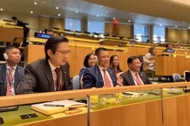 Posición y reputación de Vietnam cada vez más consolidada en arena internacional 