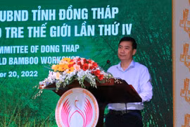 Dong Thap combina la conservación del bambú con el ecoturismo