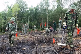 Recaudan fondos para apoyar a Vietnam en superar secuelas de explosivos remantes de la guerra