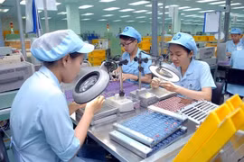 Encuentro comercial: gran oportunidad para que los inversores de Singapur ingresen a Vietnam