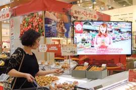 Aumentan presencia de productos vietnamitas en Japón 