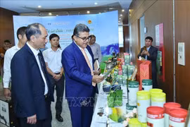 Debaten oportunidades de exportación de té vietnamita a diversos países 