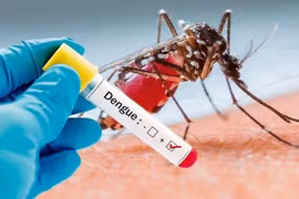 Laos refuerza medidas contra dengue 