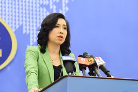 Embajada de Vietnam en España dispuesta a garantizar derechos legítimos de connacionales