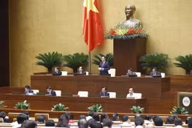 Parlamento vietnamita debate desarrollo económico rural asociado a nueva ruralidad