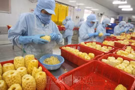 Vietnam y Japón amplían su cooperación a cadenas de cultivos seguros