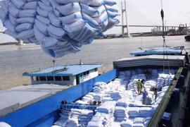 Arroz de Vietnam se beneficia de arancel preferencial en exportaciones a Corea del Sur