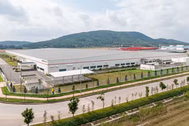 Provincia de Quang Ninh trabaja por preservar áreas boscosas
