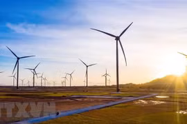 Vietnam necesita 14 mil millones de dólares para desarrollo de energías renovables