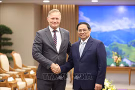 Premier vietnamita resalta relaciones de país con Dinamarca 