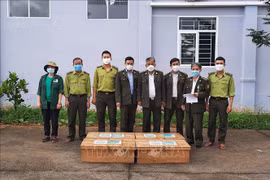 Trabajadores de Parque Nacional de Cuc Phuong rescatan a animales salvajes