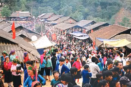 Feria de mercado destaca cultura de zona montañosa de región norvietnamita 