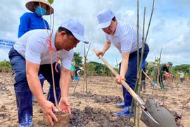 Cambian comportamiento en Vietnam para responder al cambio climático