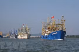 Piden a China respetar soberanía de Vietnam sobre archipiélago de Hoang Sa