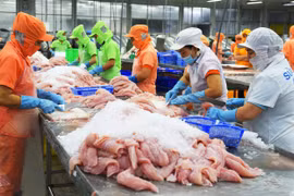 Vietnam disfruta aumento fuerte de exportaciones de pescado Tra