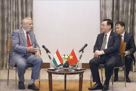 Presidente del Parlamento vietnamita recibe a dirigentes de Asociación de Amistad Hungría-Vietnam 