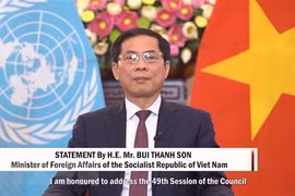 Vietnam dispuesto a cooperar en la promoción de los principios de la Carta de la ONU 