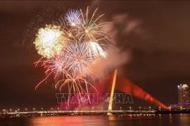 Proponen cancelar en Vietnam fuegos artificiales por Año Nuevo Lunar