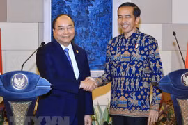 Académico indonesio enaltece significado de próxima visita de presidente vietnamita