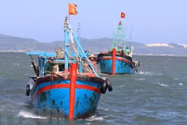 Vietnam refuerza lucha contra pesca ilegal, no declarada y no reglamentada