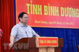 Premier insta a Binh Duong a lograr un desarrollo rápido y sostenible