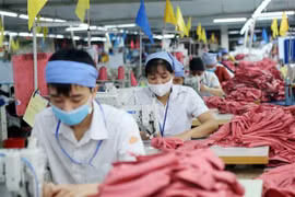 Provincia de Binh Phuoc invita a inversiones en 62 proyectos