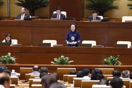 Parlamento vietnamita debate sobre Ley de Implementación de la Democracia de Base