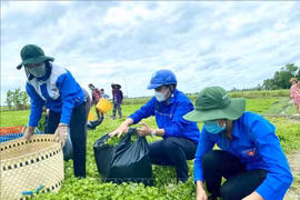 Mes de la Juventud 2022: unidos para construir nueva zona rurales en Vietnam