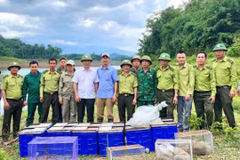 Liberan al hábitat natural 56 ejemplares de animales salvajes raros en Vietnam