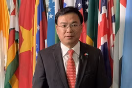 Elección al Consejo de DD.HH. afirma esfuerzos de Vietnam en promoción de derechos humanos