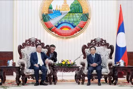 Primer ministro laosiano destaca asistencia de Vietnam en el desarrollo agrícola