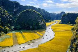  Presentan patrimonios culturales de Vietnam en exposición en Quang Nam