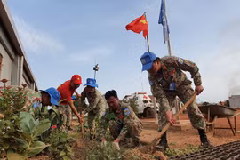 Cascos azules de Vietnam promueven estilo de vida verde en Sudán del Sur