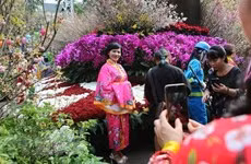 Celebran Festival de intercambio cultural Kochi-Vietnam