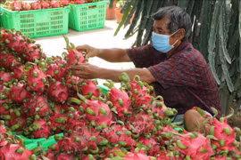 China vuelve a importar productos agrícolas vietnamitas 