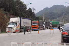 Despacho de mercancías en puertas fronterizas de Vietnam con China enfrenta dificultades