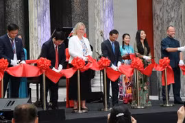 Vietnam y Dinamarca disfrutan de potencial para cooperación en crecimiento verde