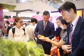 Promueven productos vietnamitas en sistema japonés de supermercados 
