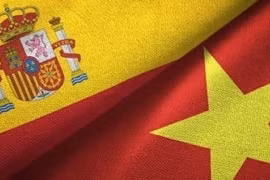 España concede importancia a consolidación de cooperación integral con Vietnam