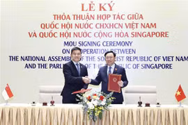 Presidente de la Asamblea Nacional de Singapur aboga por consolidar lazos con Parlamento de Vietnam