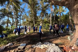 Provincia vietnamita celebra actividades por Día Mundial del Medio Ambiente