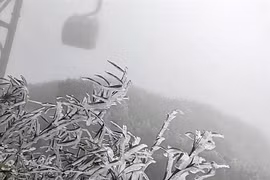 Escarcha aparece en la cima de Fansipan 