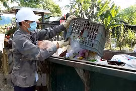 Establecen en Vietnam grupo de trabajo para reducción de desechos plásticos