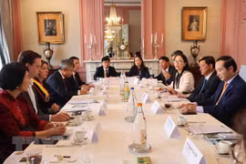 Provincias de Vietnam y Bélgica buscan oportunidades de cooperación 