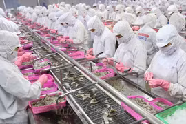 Exportaciones de camarón de Vietnam aumentarán en abril de 2022