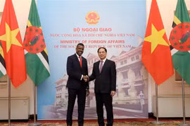 Vietnam y República Dominica estrechan relaciones bilaterales 