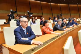 Vietnam se esfuerza por convertirse en un país desarrollado para 2050