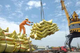 Vietnam sigue siendo el mayor proveedor de arroz de Filipinas