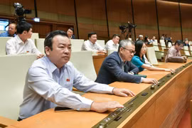 Parlamento aplaza la ratificación de Ley de Tierras (modificada)